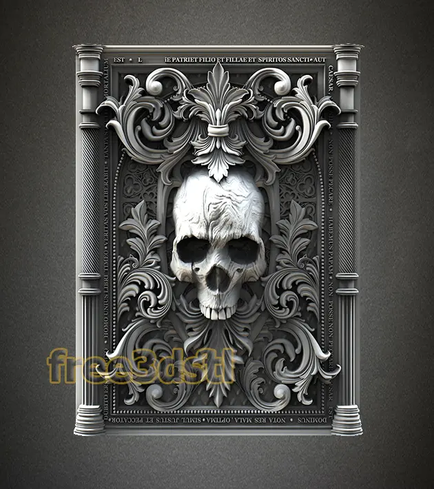 Skull in Frame